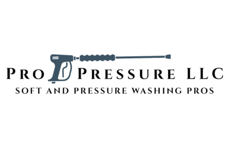 About pro pressure washing pros llc