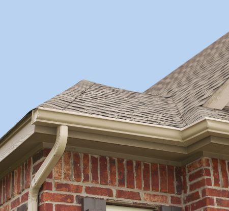 What Are the Signs Your Gutters Need Professional Cleaning Before Water Damage Starts?