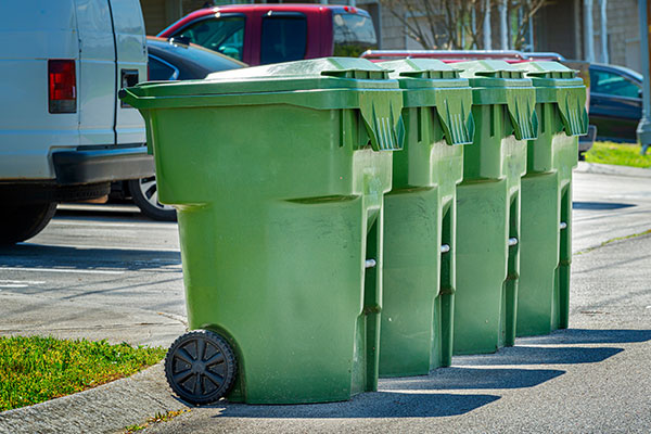 Trash Can Cleaning